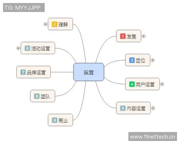 武汉篮球队运营体系解析与战术创新研究 武汉篮球队运营体系解析与战术创新研究