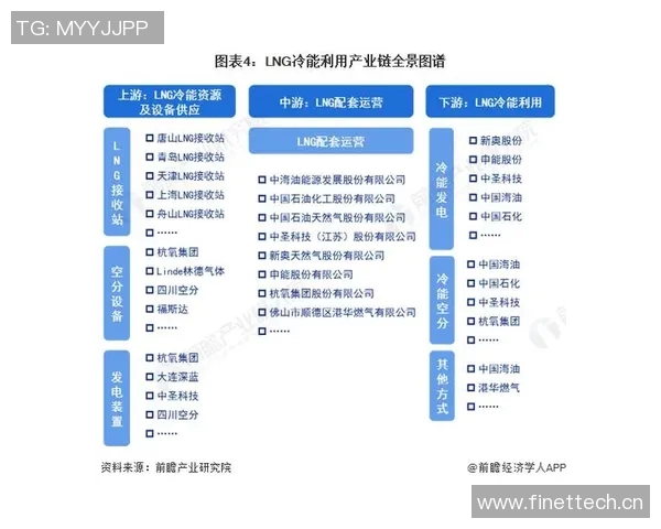 独家深度解析全球LNG市场竞争格局与实力对比分析